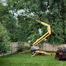 Reliable Sea Breeze, NC Tree Services Solutions